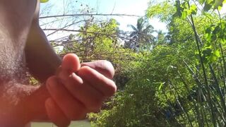 I tried to jacks in the forest