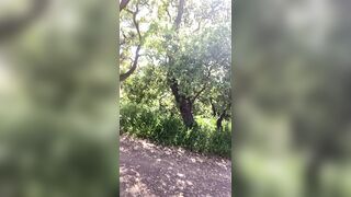 Public Park Slomo cumshots
