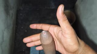 Lioboysex