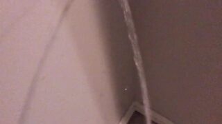 Power Pissing on my Bedroom Walls and Carpet (With Slow Motion Replay)